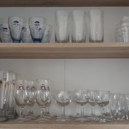 Veronika's House Je Prijeten, Miren Apartma V Naravi, Blizu Mesta * Celje